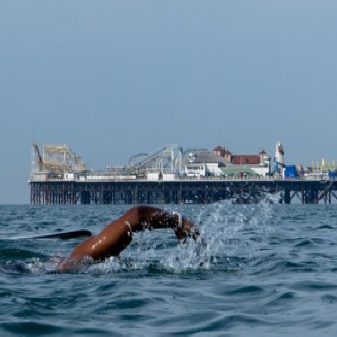 Training for the Pier To Pier 1k swim